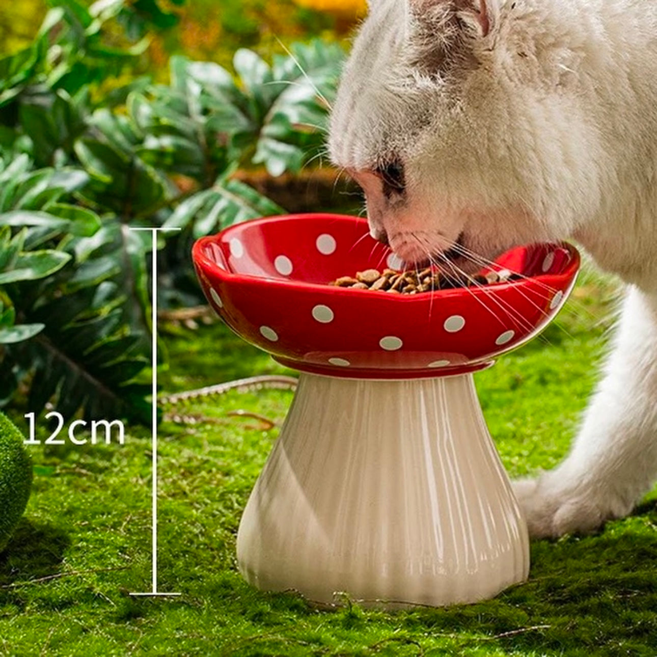 Hommie Mushroom Pets Bowl HBPT004