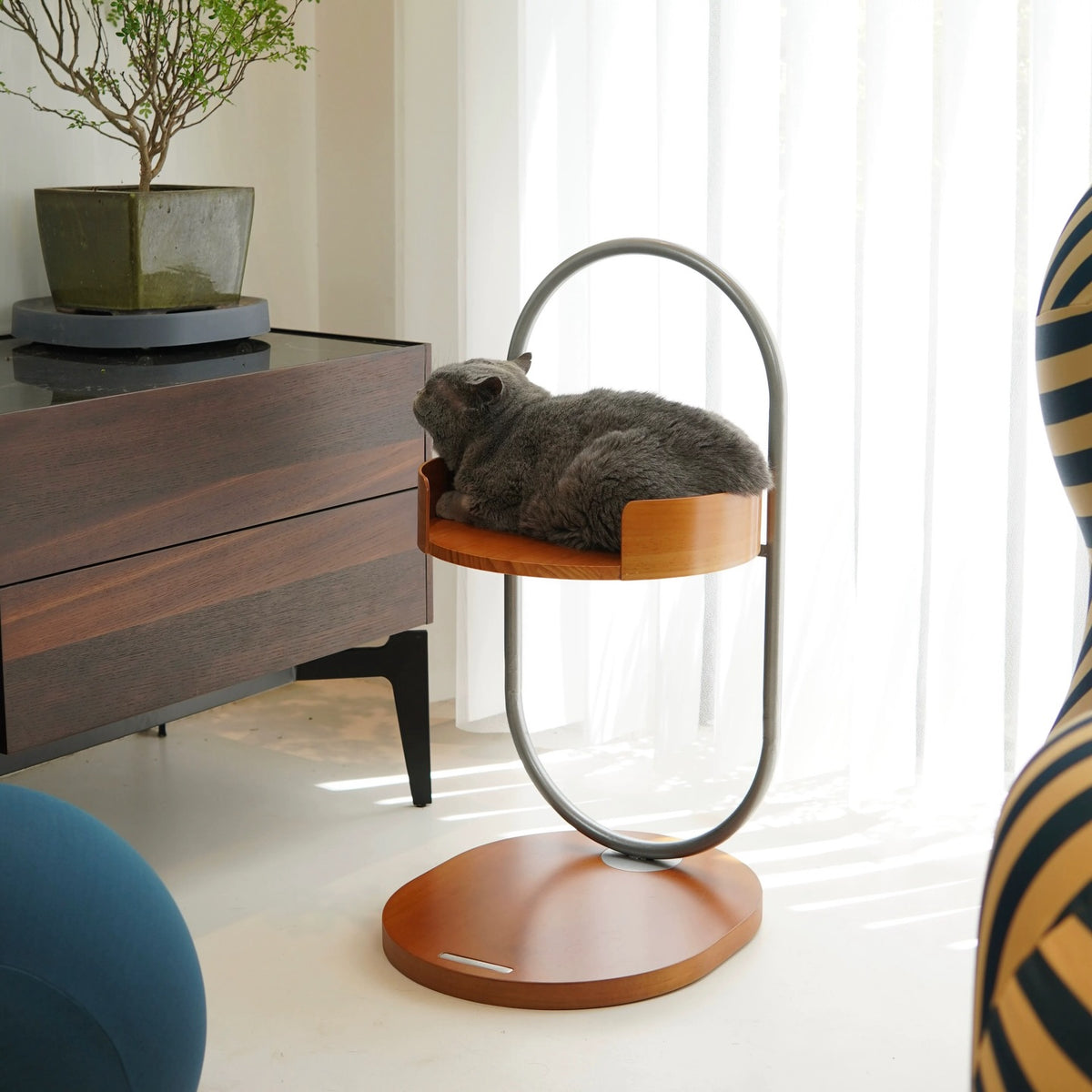 Hommie Oval Hoop Frame Pet Bed Side Table HBBT008 1