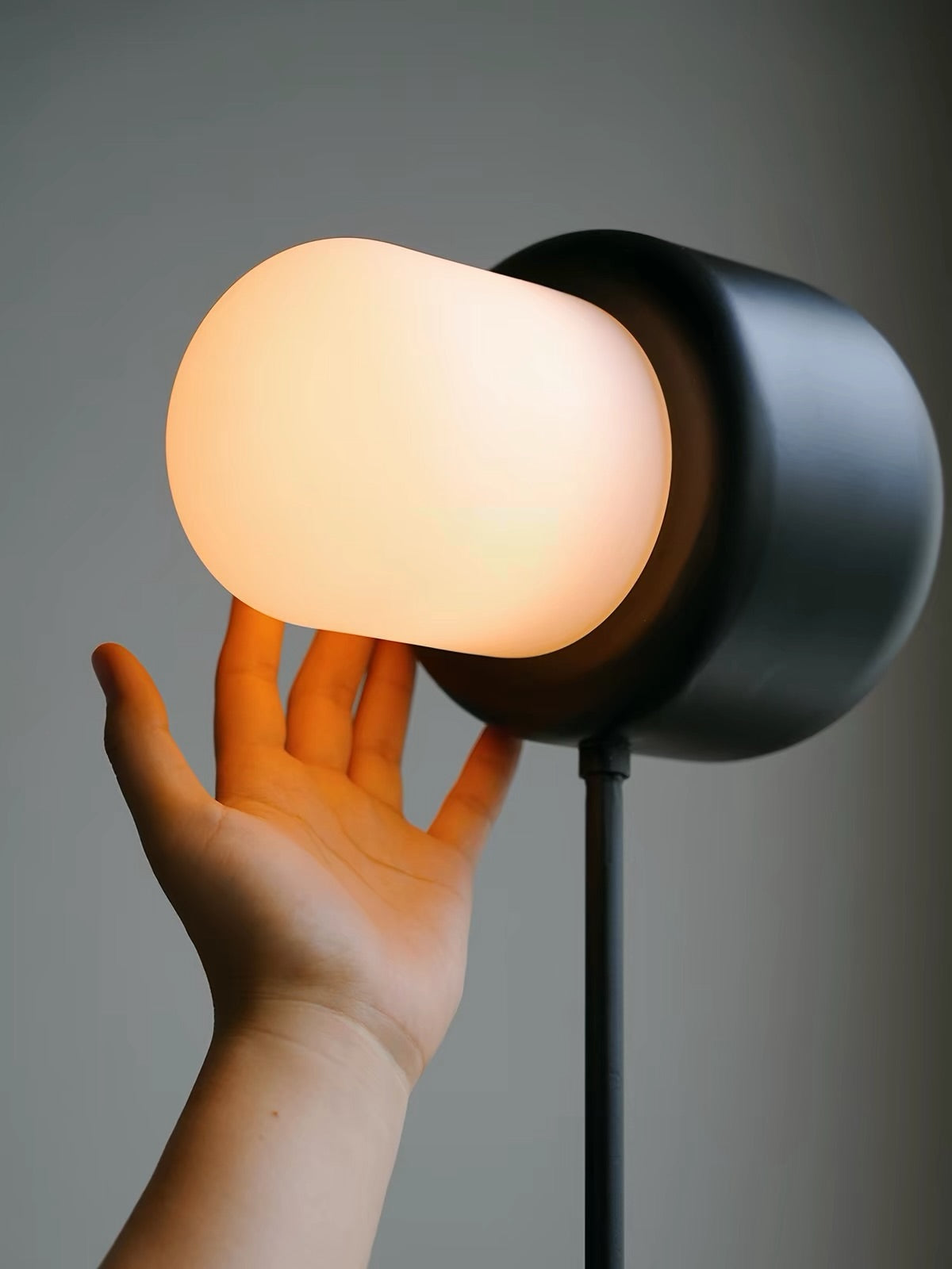 Hommie Dog Floor Lamp HBCL040 2