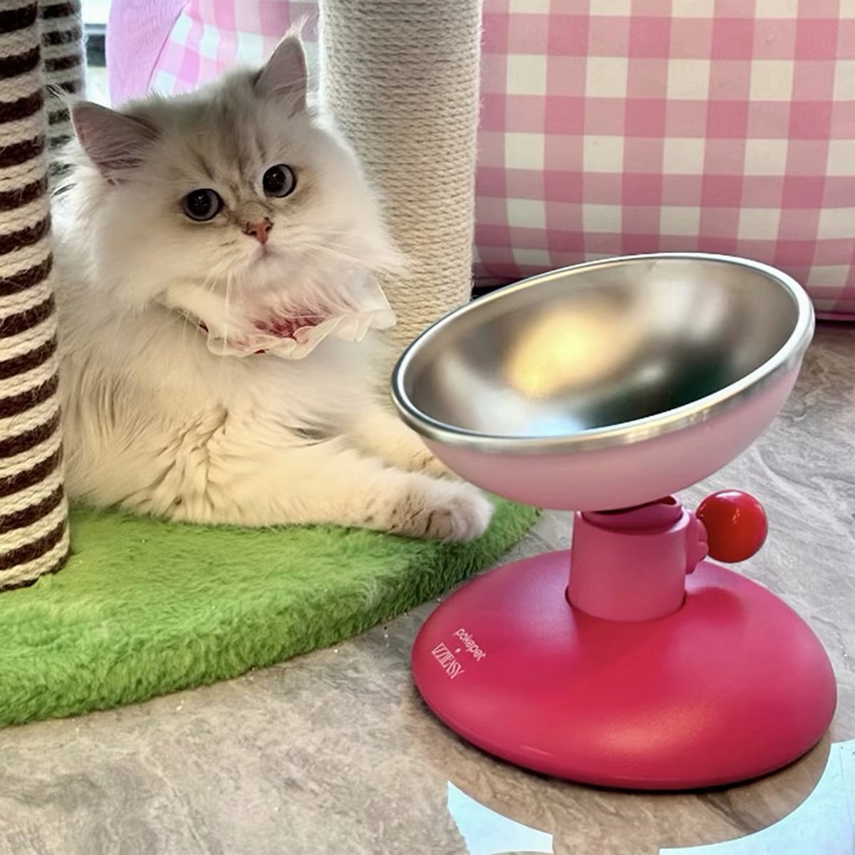Hommie Tilted Dome Pet Bowl HBPT019 4