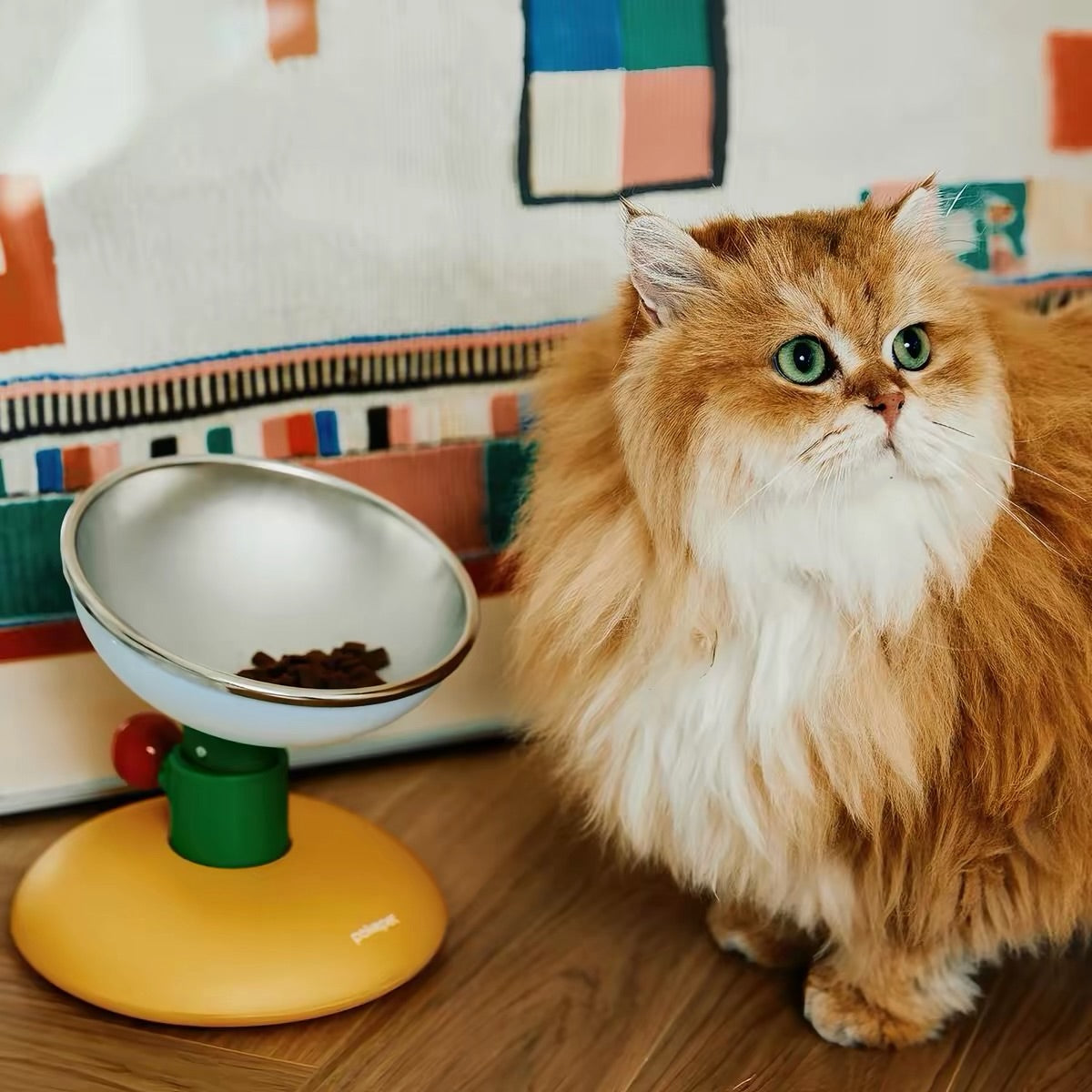 Hommie Tilted Dome Pet Bowl HBPT019 1