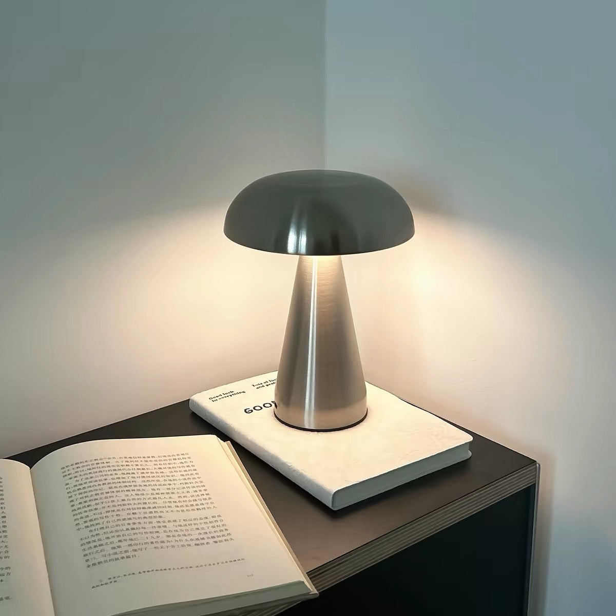 Hommie Stainless Lamp HBCL024 1